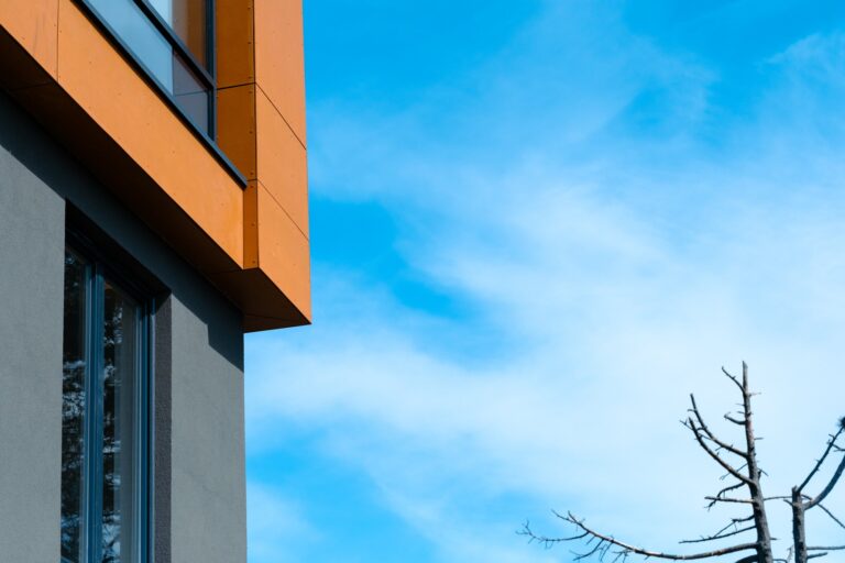 Modern building with blue sky and bare tree branches