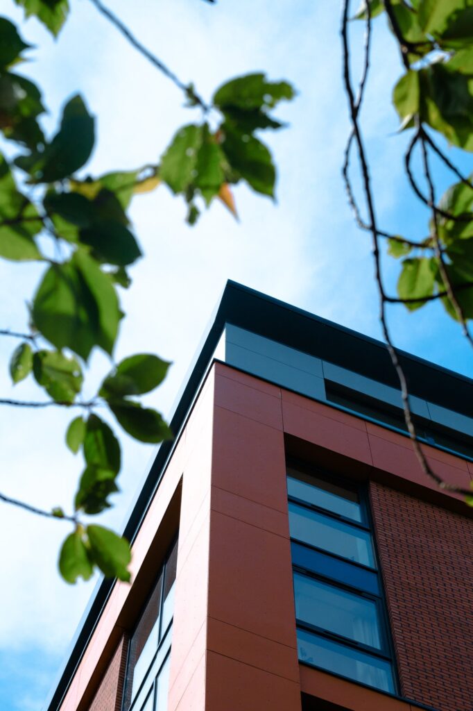 Modern building with sky background and leafy branches.